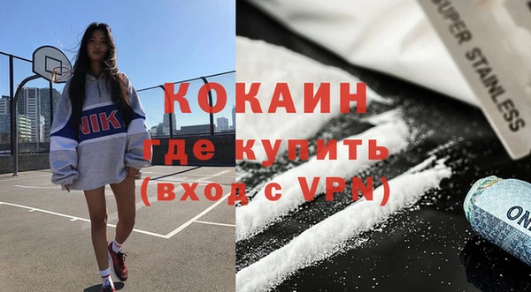 твердый Абаза