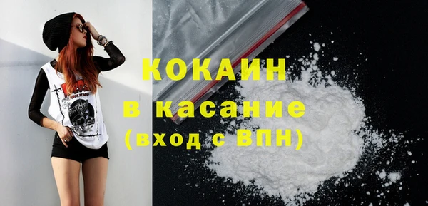 твердый Абаза