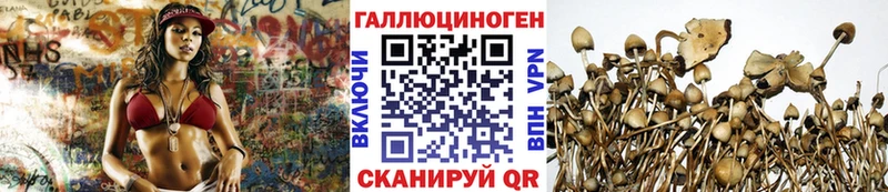 Галлюциногенные грибы прущие грибы hydra сайт Отрадная